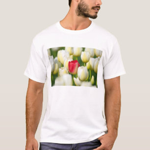Röd tulpan i ett fält av vittulpan t shirt