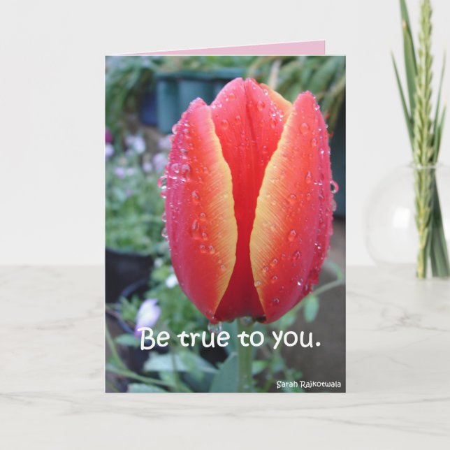 Röd Tulpan och Regndroppar blomsterkort Be True To Kort (Framsida)