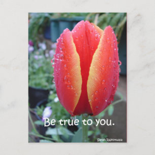 Röd Tulpan och Regndroppar blomsterlig Be True To Vykort
