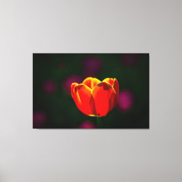 Röd tulpanblomma canvastryck