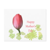 röd tulpanblomma, lycklig mors dag