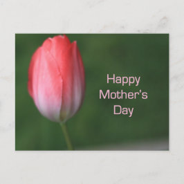 röd tulpanblomma, lycklig mors dag vykort