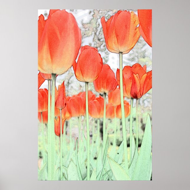 röd tulpanblomskonst poster. blommigt trädgårdsväx poster (Framsidan)
