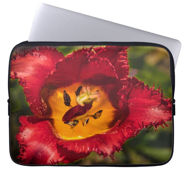 Röd tulpaner laptop fodral (Framsidan)