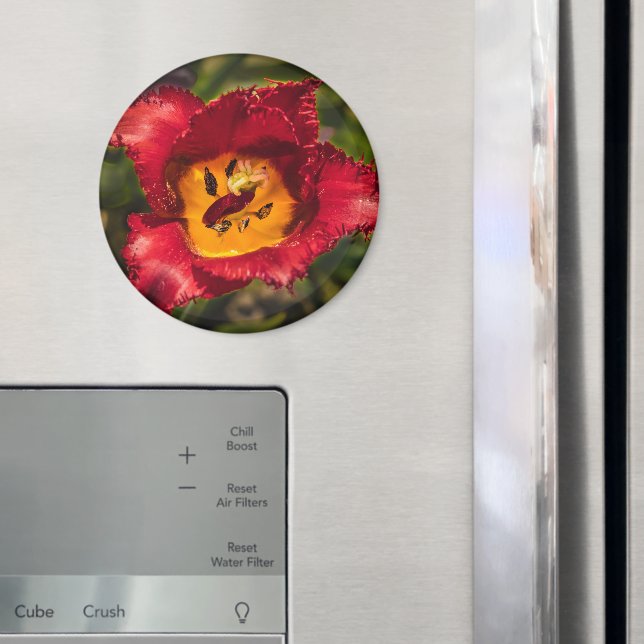 Röd tulpaner magnet (In Situ (Fridge))