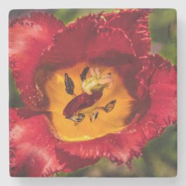 Röd tulpaner stenunderlägg