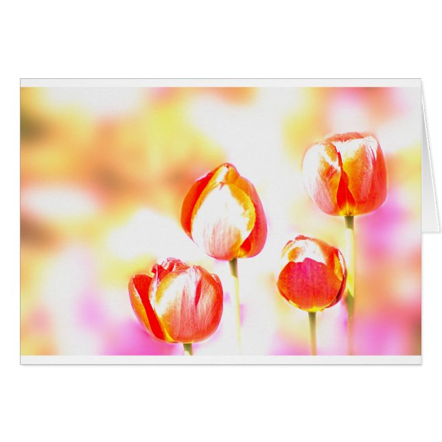 Röd tulpankvartett hälsningskort (Framsidan Horizontal)