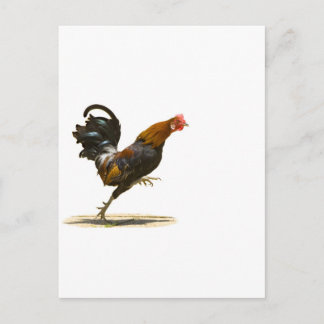 Röd tupp vykort