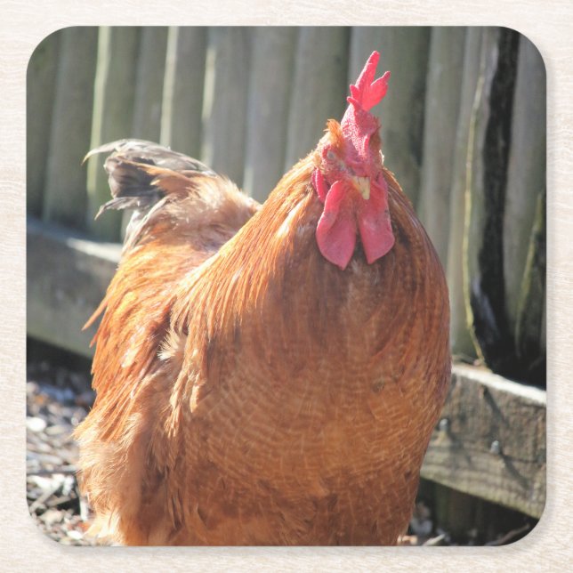 Röd Underlägg Papper Kvadrat (Framsidan)