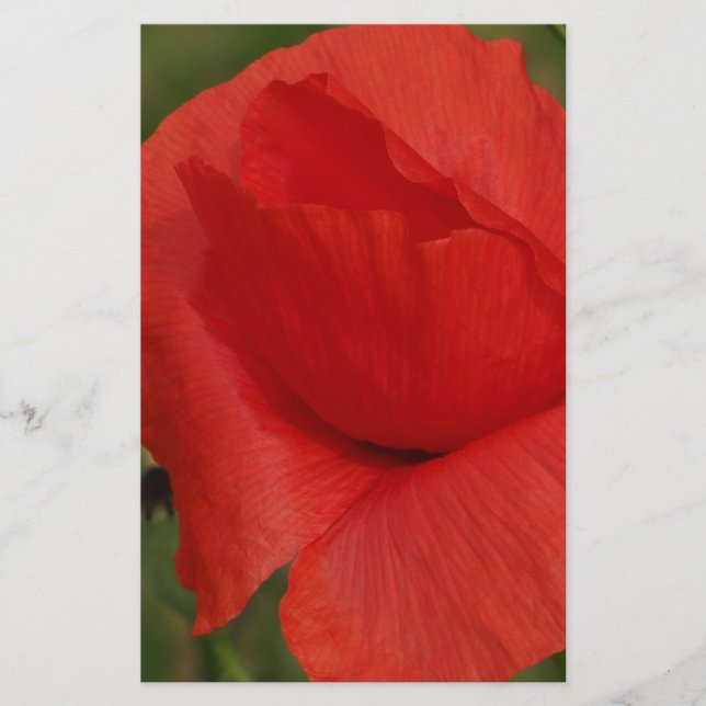 Röd vallmo (Framsida)