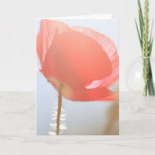 Röd vallmo blomma på Mist i Tillfälle Kort