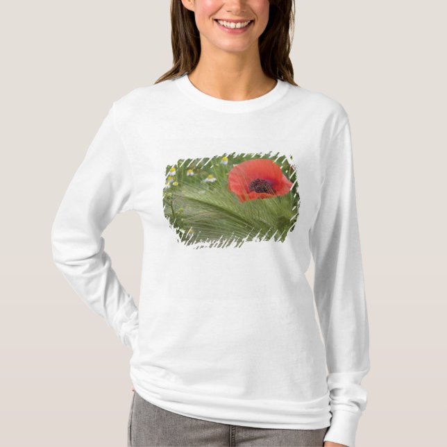 Röd vallmo blomma, Toscana, Italien Tee Shirt (Framsida)