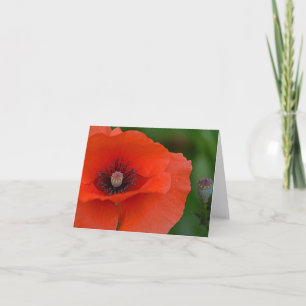 Röd vallmo Notecard Kort
