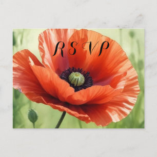 Röd vallmo RSVP vykort