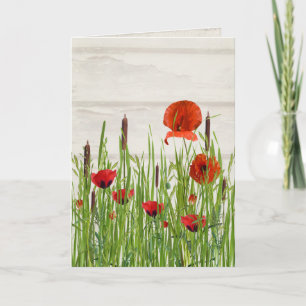 röd vallmoblomma och cattails kort