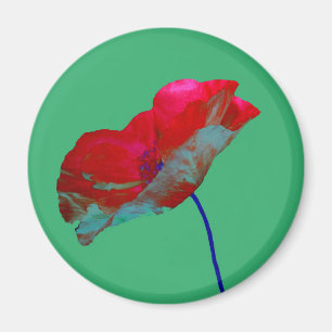 Röd vallmoblomma på emerald grönt magnet