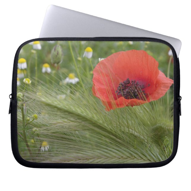 Röd vallmoblomma, Toscana, Italien Laptop Sleeve (Framsidan)