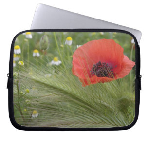 Röd vallmoväxt, Toscana, Italien Laptop Sleeve