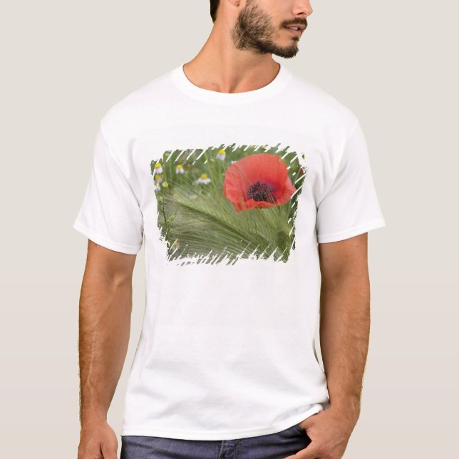 Röd vallmoväxt, Toscana, Italien T Shirt (Framsida)
