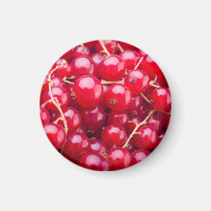 Röd valuta magnet