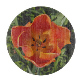 röd vårblomma