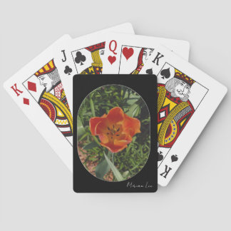 röd vårblomma casinokort