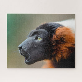 Röd vari (lemur) pussel