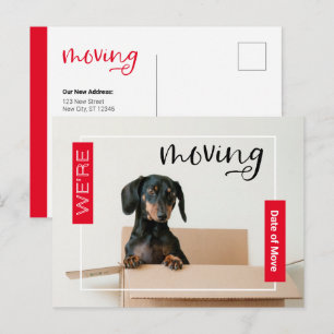 Röd Vi Flyttar Dachshund Hund i Låda Postkort Vykort
