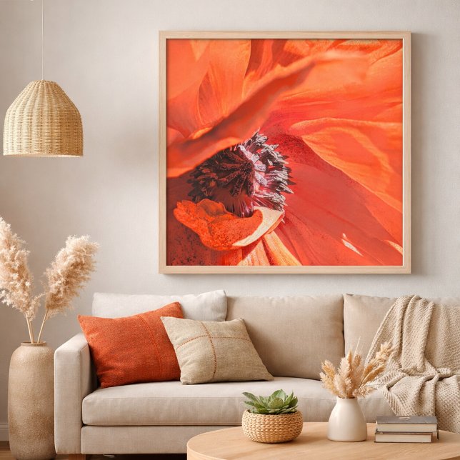 Röd Vibrerande Vallmo Blomfotografering av Meggido Poster (Red Poppy Flower Home Decor )