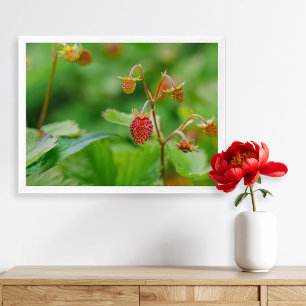 Röd Vild jordgubbsodling fortsätter att odla Garde Poster