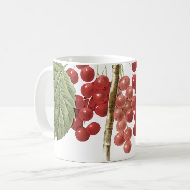 röd vinbär (Ribes rubrum) från Redouté Kaffemugg (Framsida vänster)