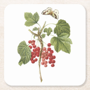röd vinbär (Ribes rubrum) från Redouté Underlägg Papper Kvadrat