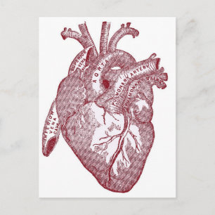 Röd Vintage Anatomiskt hjärta Vykort
