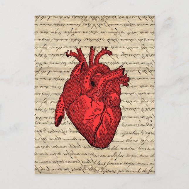 Röd vintage vykort (Framsida)