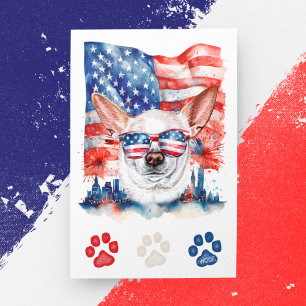 Röd Vit Blå Chihuahua Hund Amerikansk 4:e Juli Helg Vykort