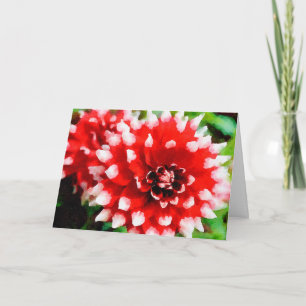Röd&vit färgad tipp Dahlias vattenfärgade Helgdag Kort