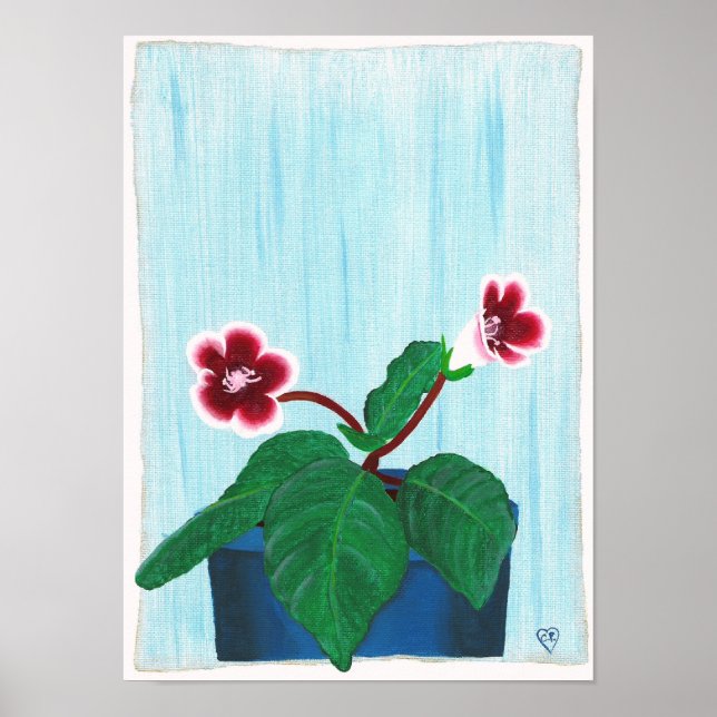 Röd vit Gloxinia afrikansk violett blomma affisch (Framsidan)