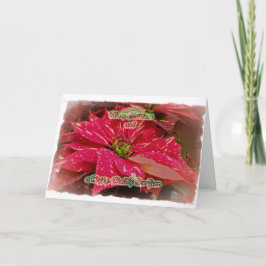 Röd & Vit Poinsettia God Jul & Gott Nytt År Kort