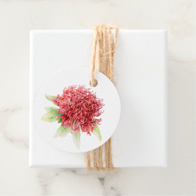 Röd waratah-blommans vattenfärgskonst bröllop gåvor etiketter (På plats)