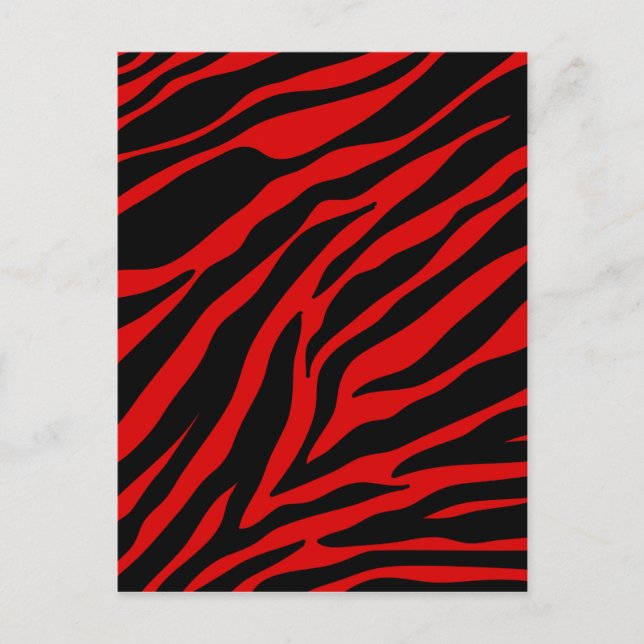 röd zebra vykort (Framsida)