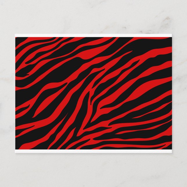 röd zebra vykort (Framsida)