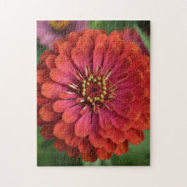 Röd zinnia - blomsterpussel med presentlåda pussel