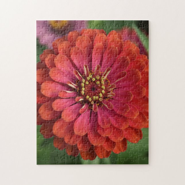 Röd zinnia - blomsterpussel med presentlåda pussel (Vertikal)