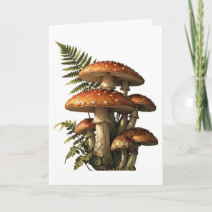 Röda Amanita-svampar med ormbunksbotanik Kort