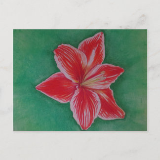 Röda Amaryllis Helg Vykort