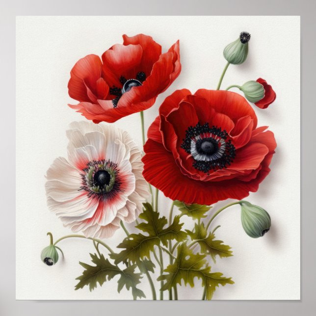 Röda anemone Flowers Art Print Poster (Framsidan)