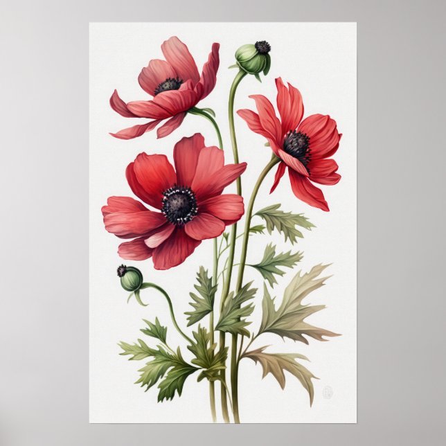 Röda anemone Flowers Art Print Poster (Framsidan)