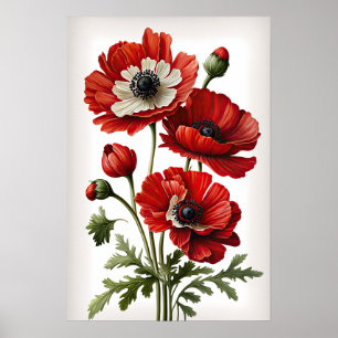 Röda anemone Flowers Art Print Poster