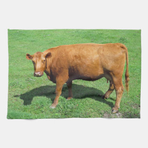 Röda Angus Kökshandduk