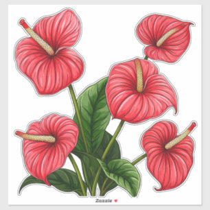 Röda Anthurium-blommor med gröna blad Klistermärken